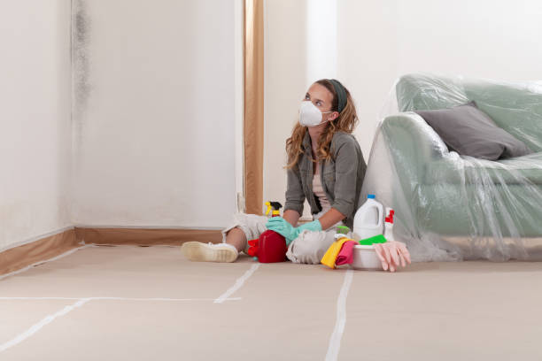 Reliable Mold Remediation contractor in Yacolt, WA by 24 Hour Mold Removal